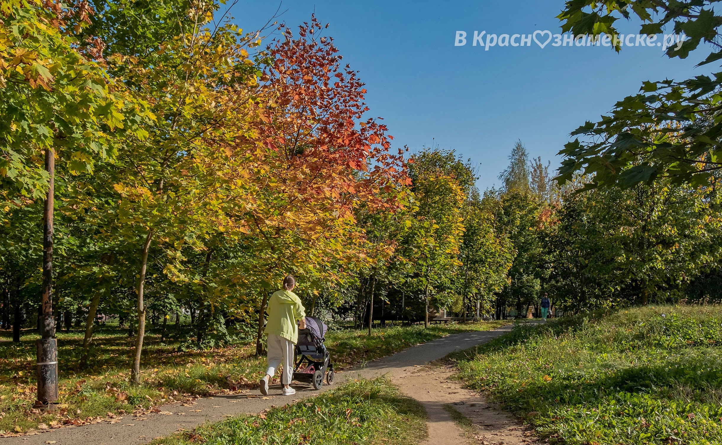 Фото 40440 — Краснознаменск