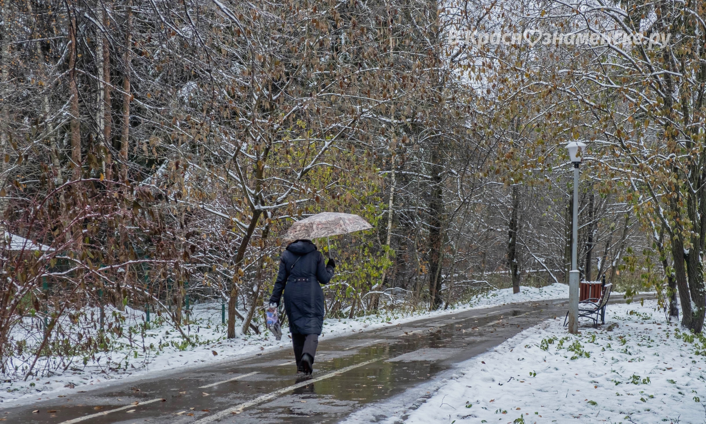 Прогулка по Городскому парку — Краснознаменск