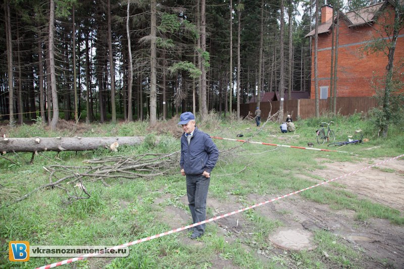 Срубил дерево на автомобиль 
Или последствие, нашествия жука короеда 2
Сижу пью чай себе, вдруг слышу громкий хруст, смотрю в окно и наблюдаю целую картину.
Строители обвалили дерево на припаркованный автомобиль, после этого они в том же духе дел