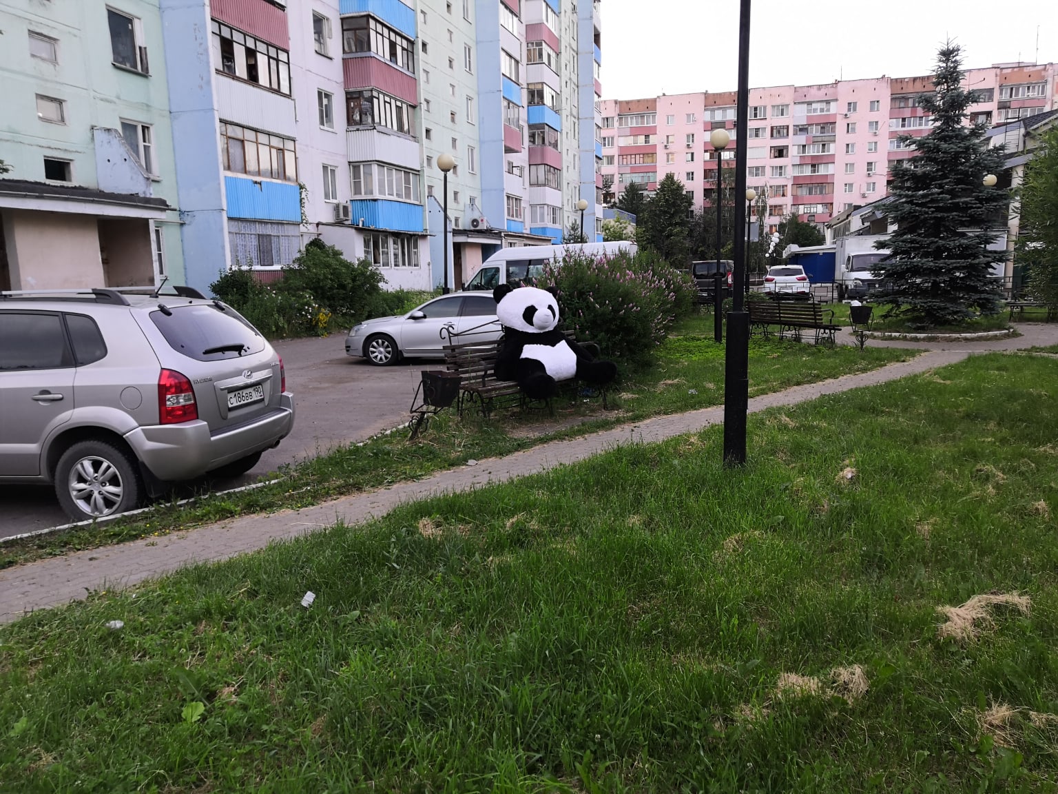 Придумайте название к фото
