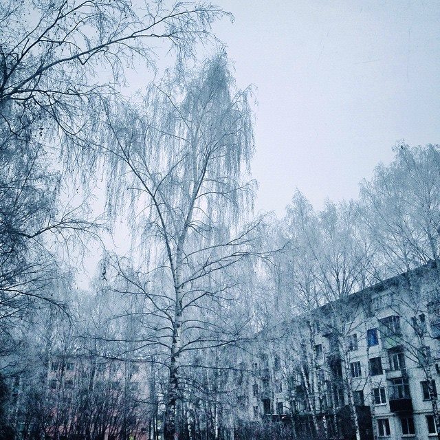 Автор фотографии kristina_kenga — Краснознаменск