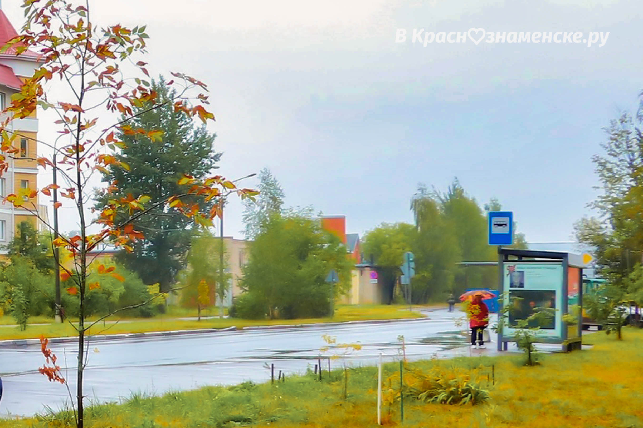 Все автобусные маршруты, кроме некоторых 35х и 1к не ходят д