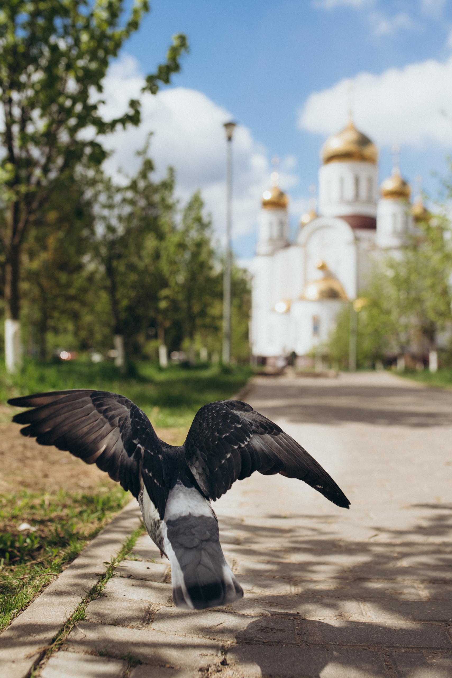 С Воскресным днём!
