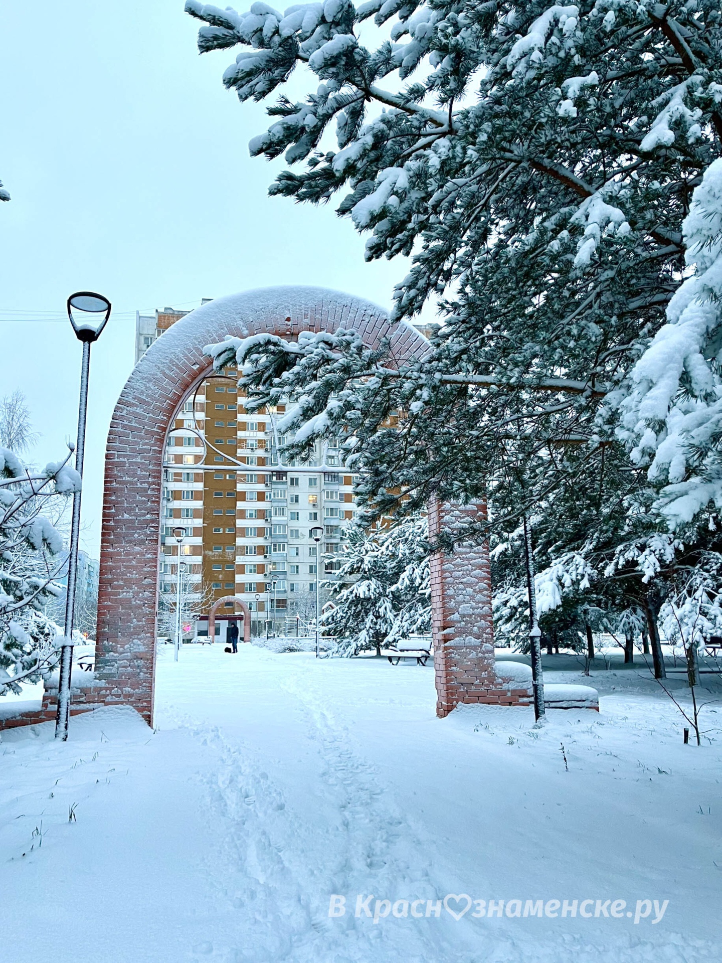 Утренняя прогулка по снежному городу ❄️  © в Краснознаменске