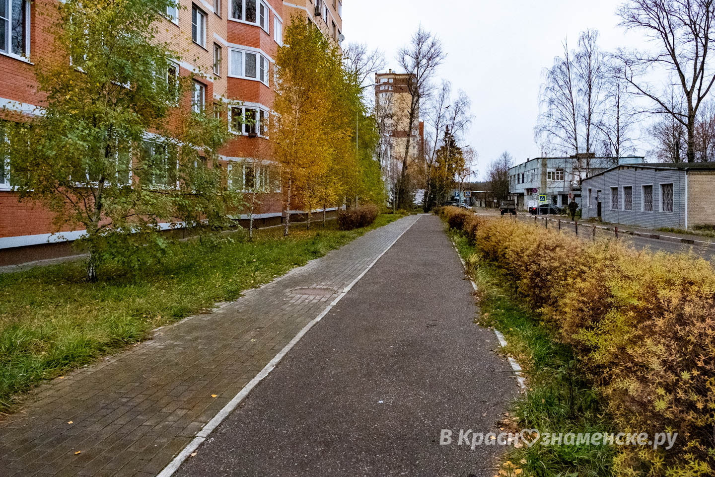Доброе утро, Краснознаменск! Утром, 0°…+1°, Пасмурно, Давлен