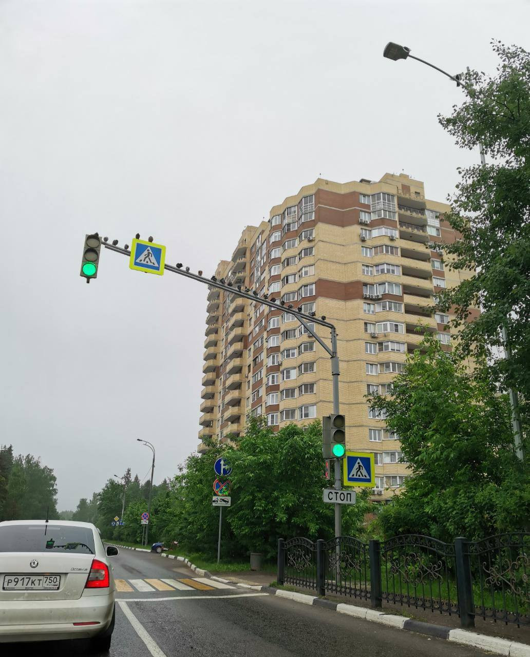 Голубиный патруль