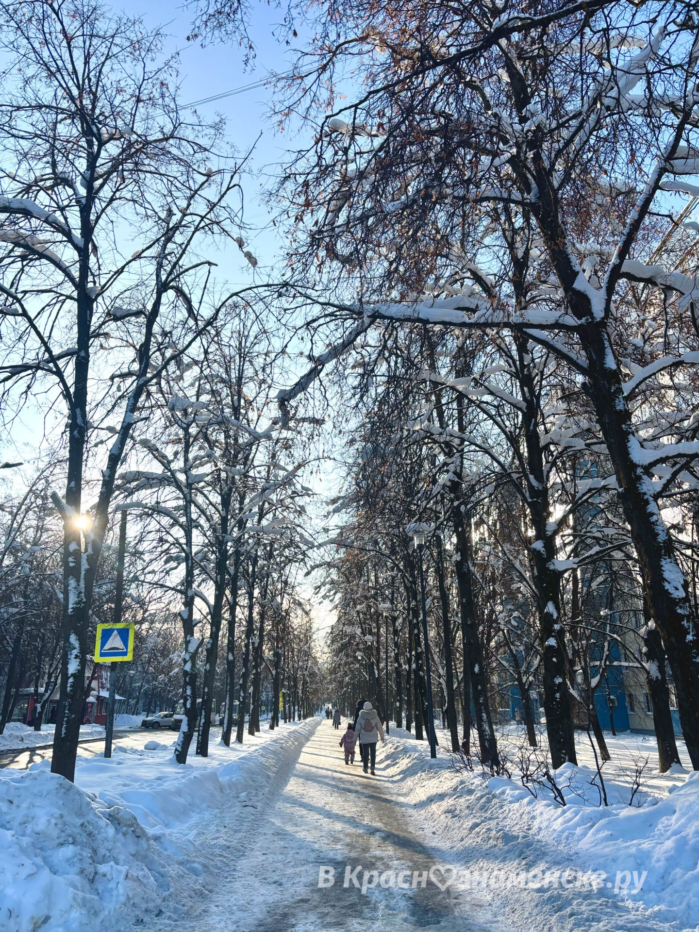 Под сиянием солнца зимняя сказка оживает  © в Краснознаменск