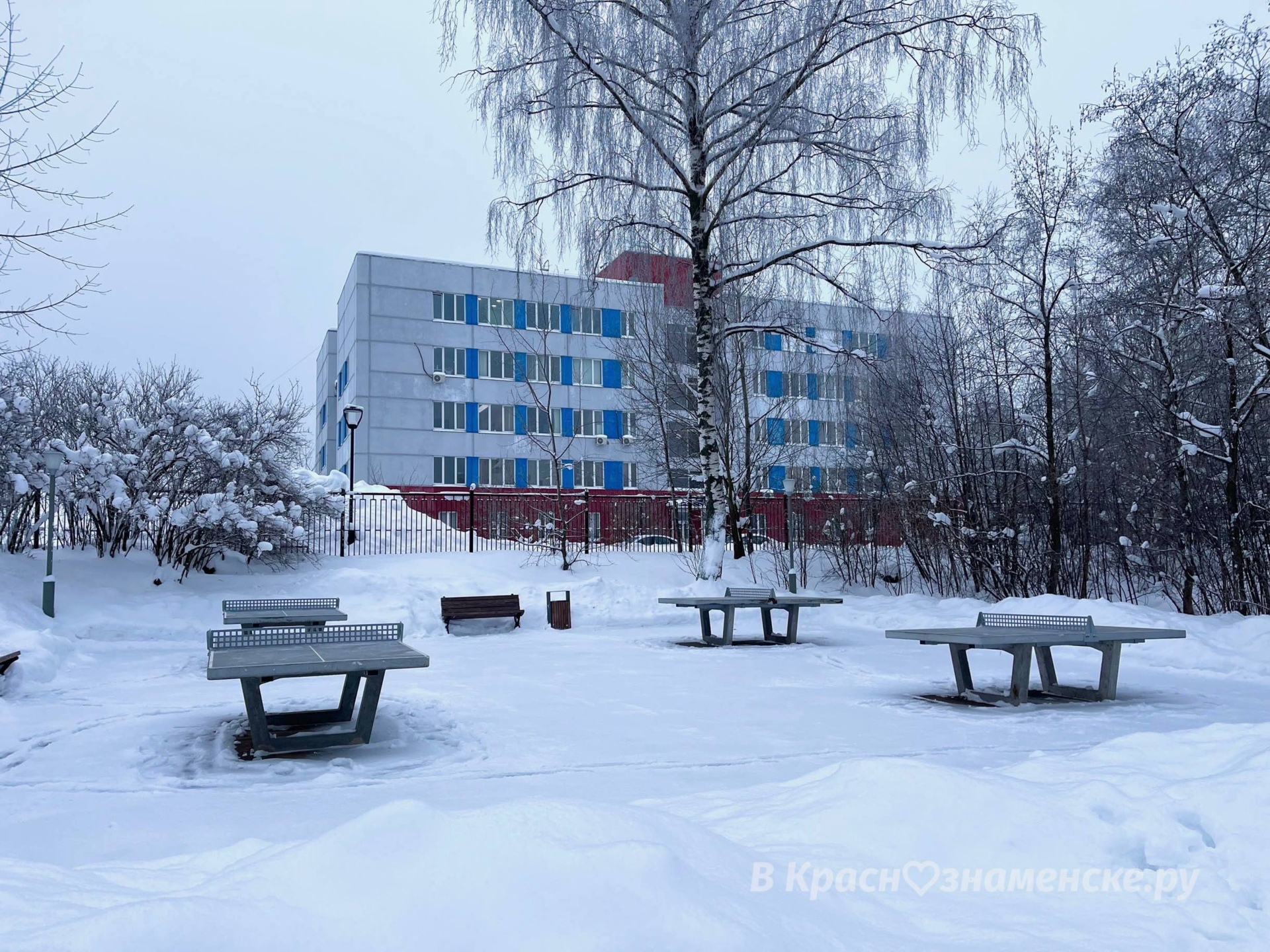 Прогулка по Городскому парку  © в Краснознаменске.ру Мы в te