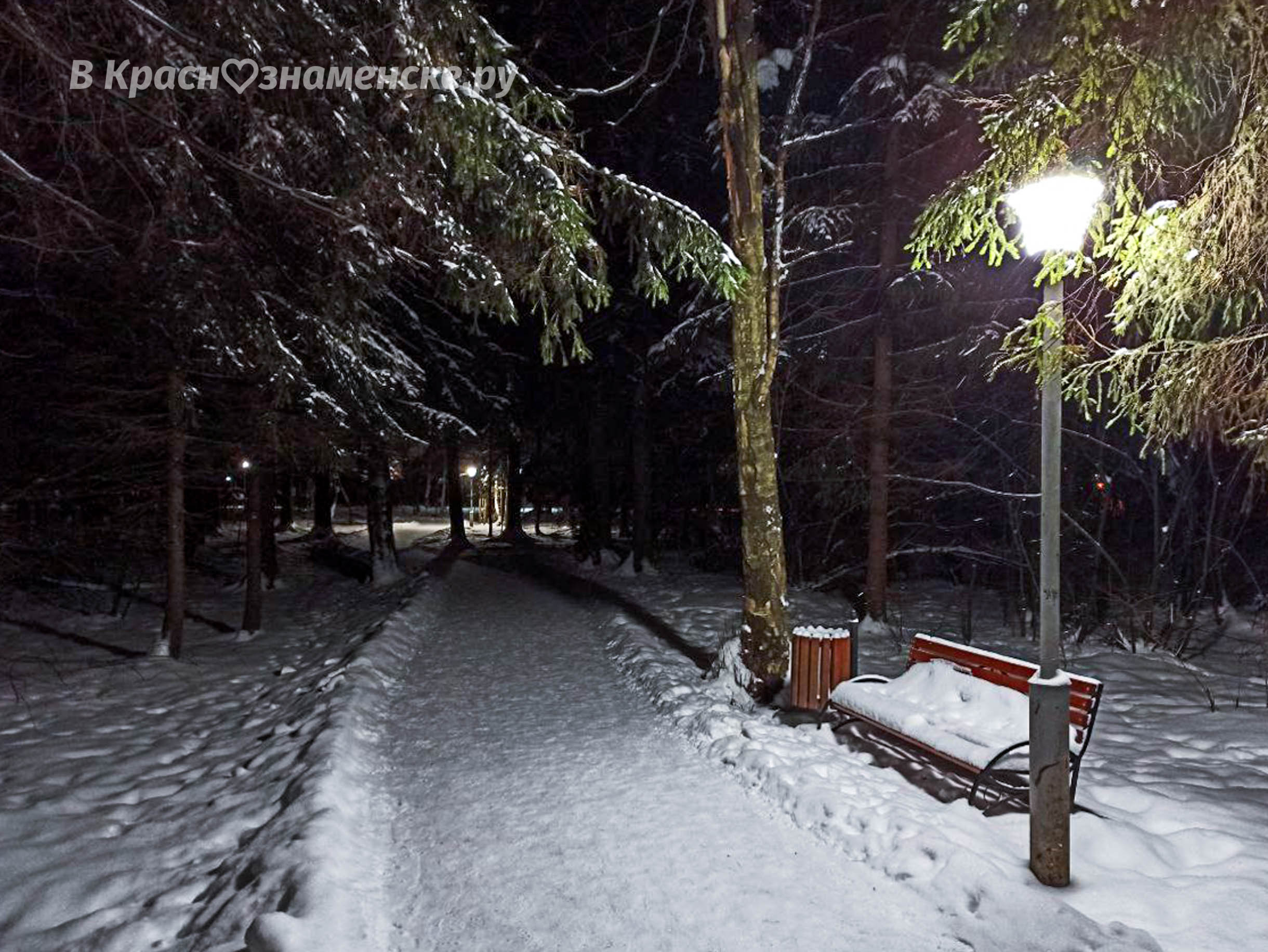 Вечерняя прогулка в городском парке — Краснознаменск