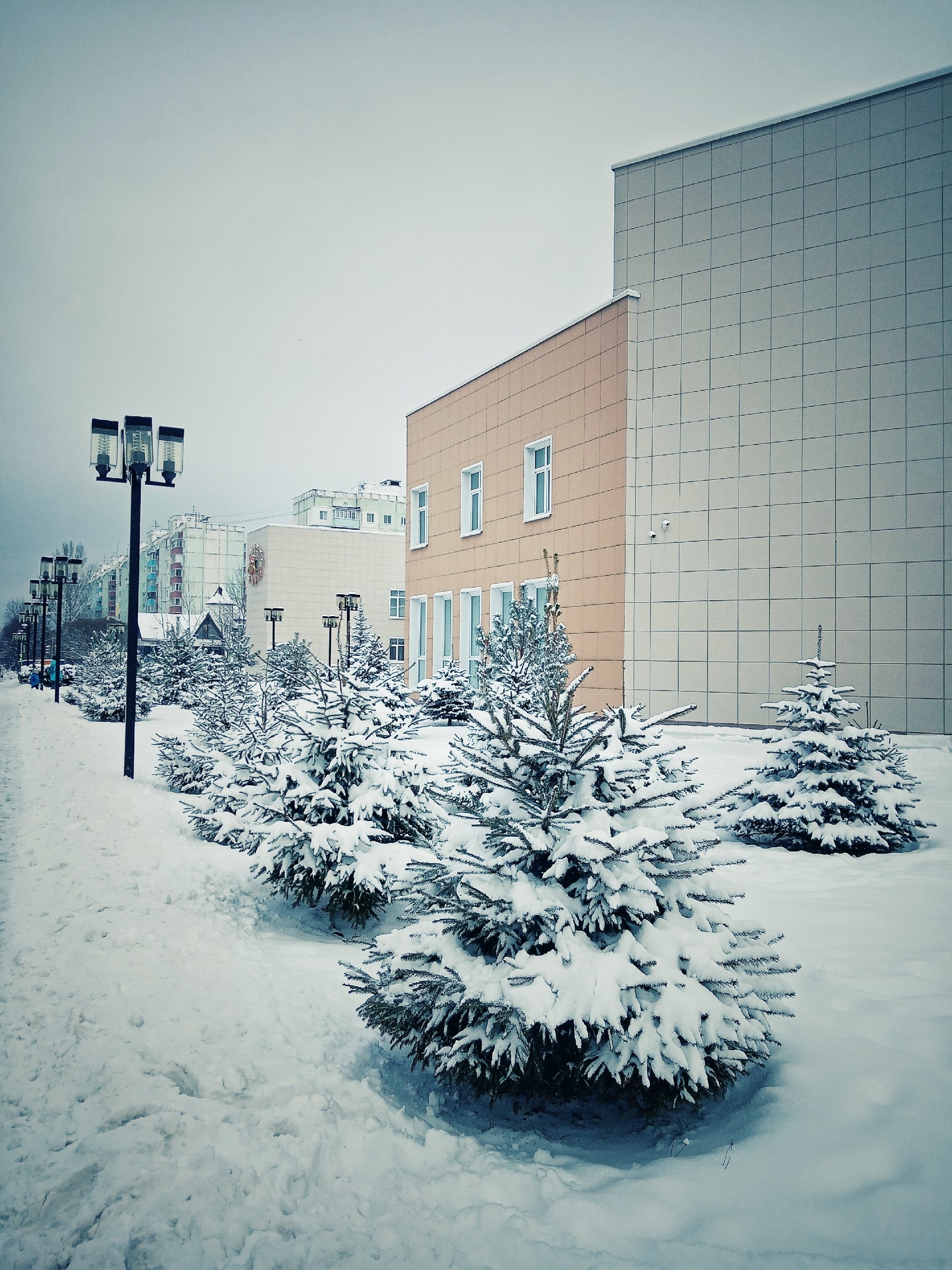 Прогулка по городу. — Краснознаменск