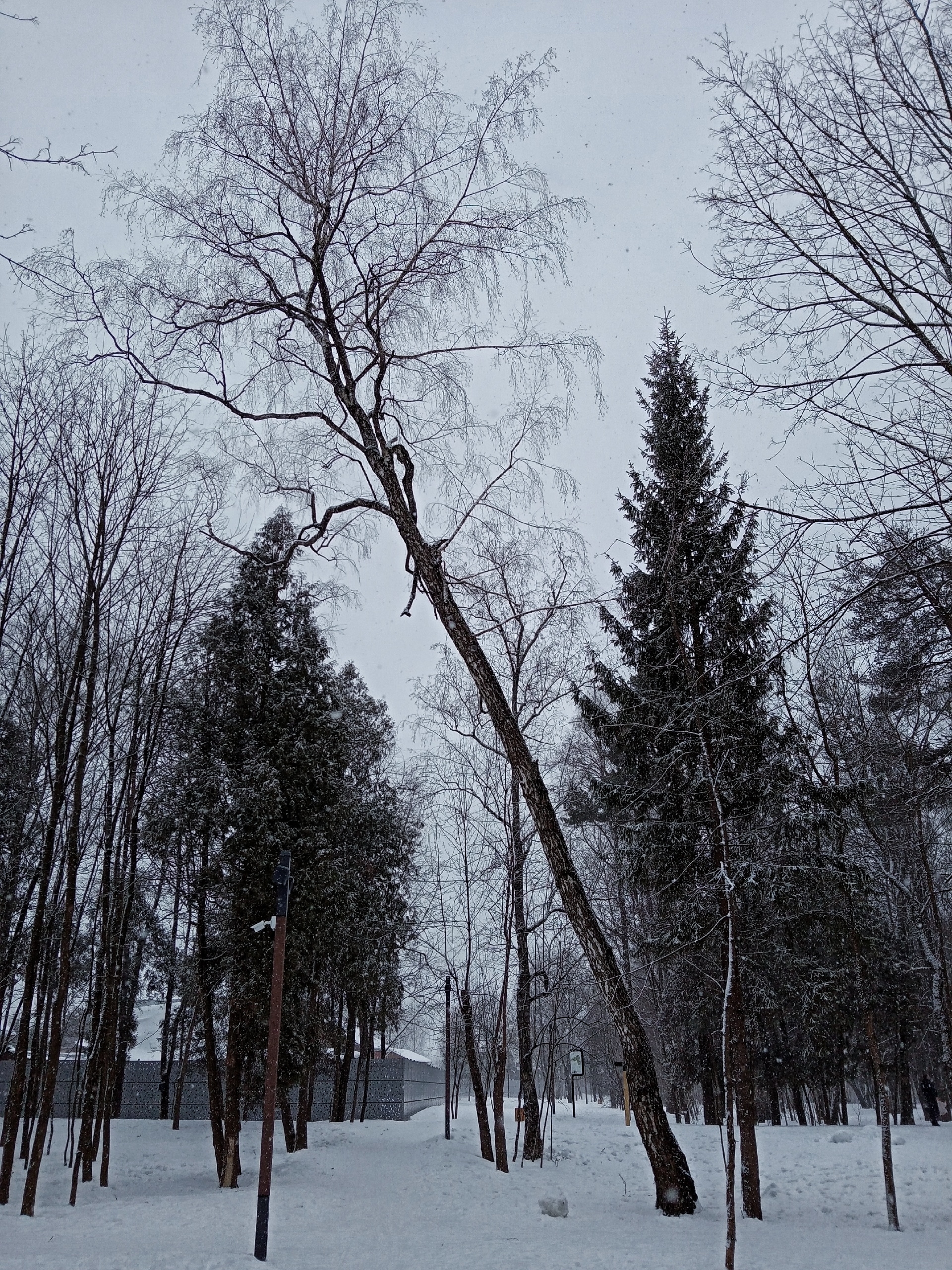 VK -27992616_760709