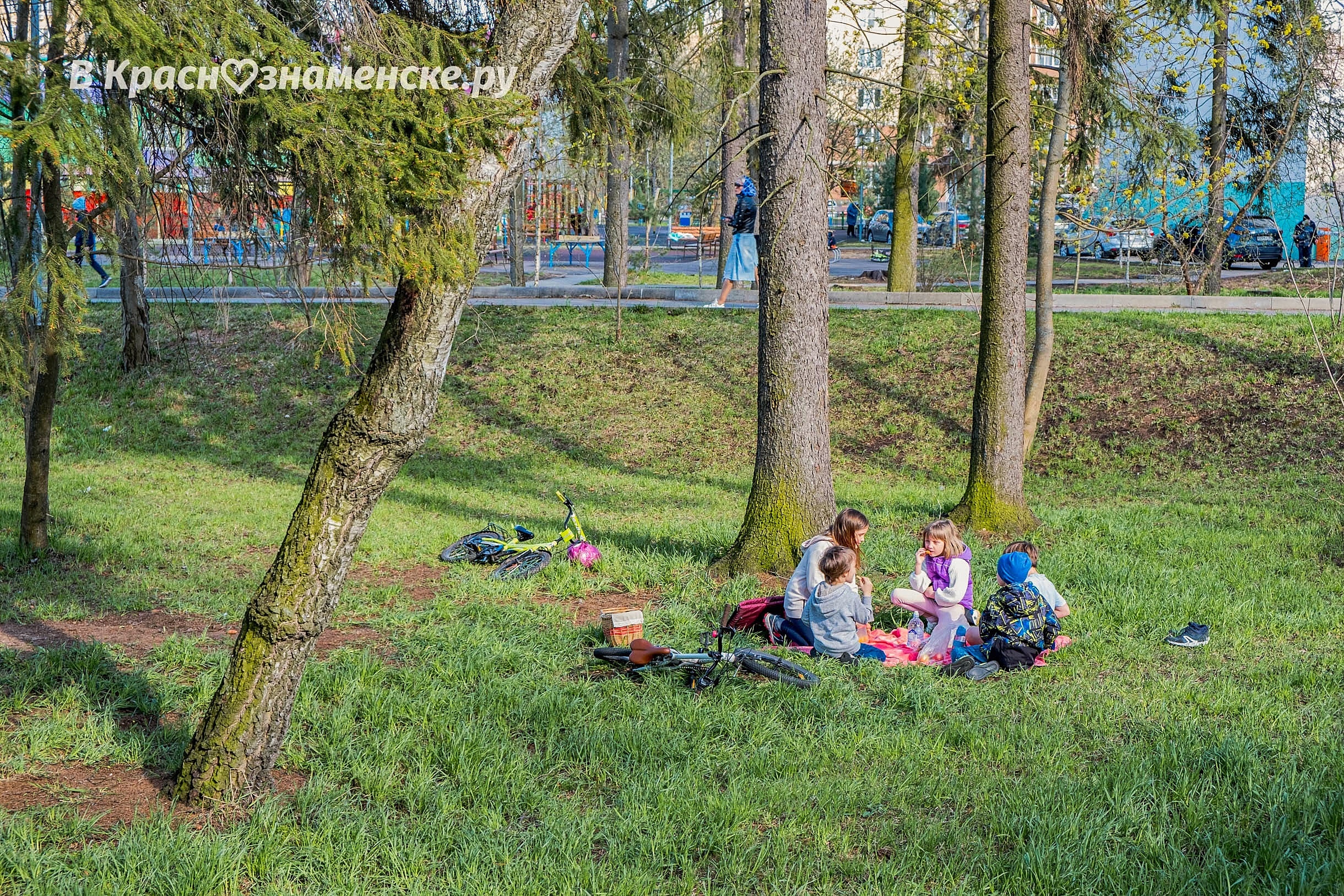 Доброе утро, Краснознаменск! Светлого вам четверга)