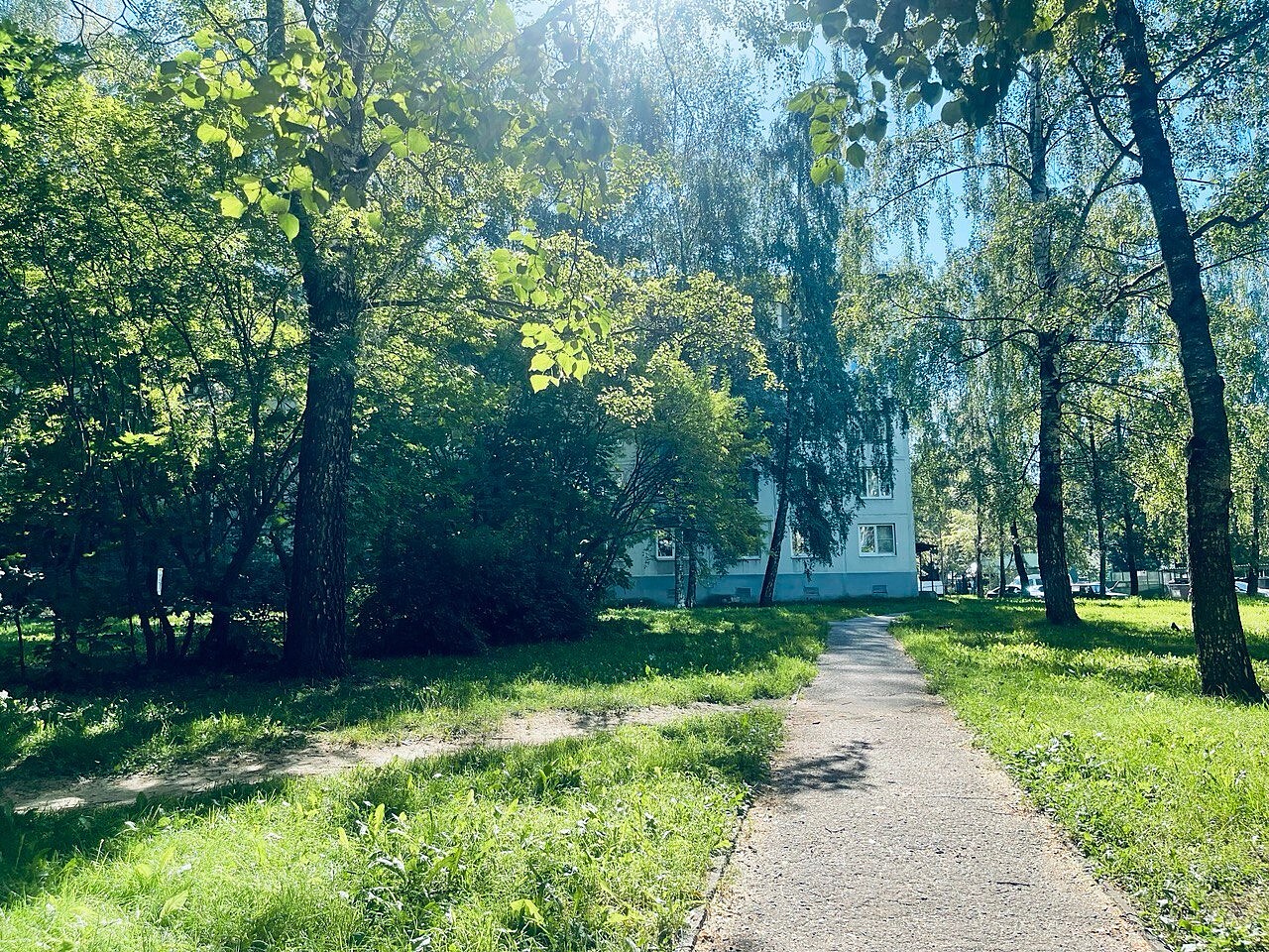Фото 39523 — Краснознаменск