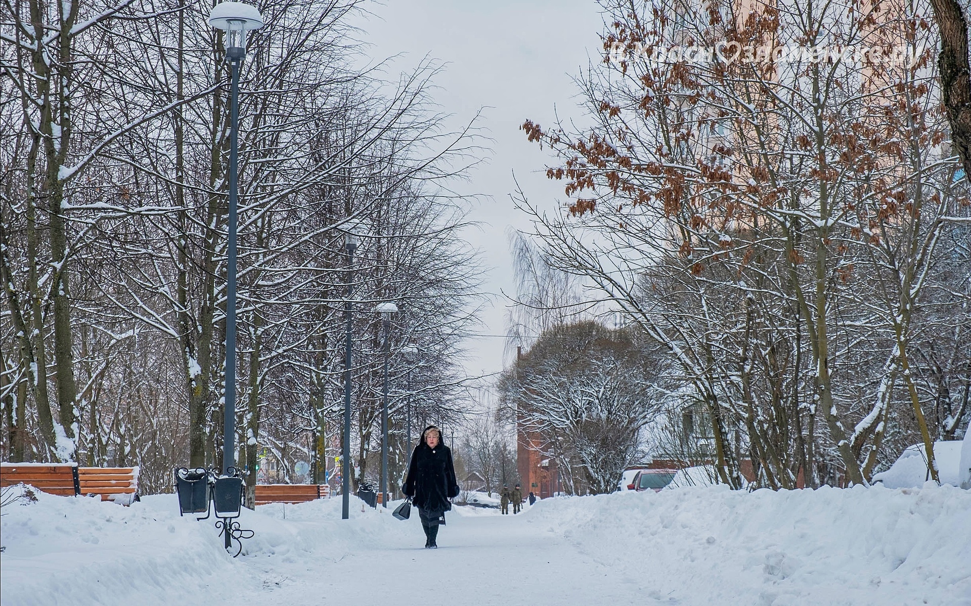 Доброе утро, Краснознаменск! Светлого вам и спокойного дня)