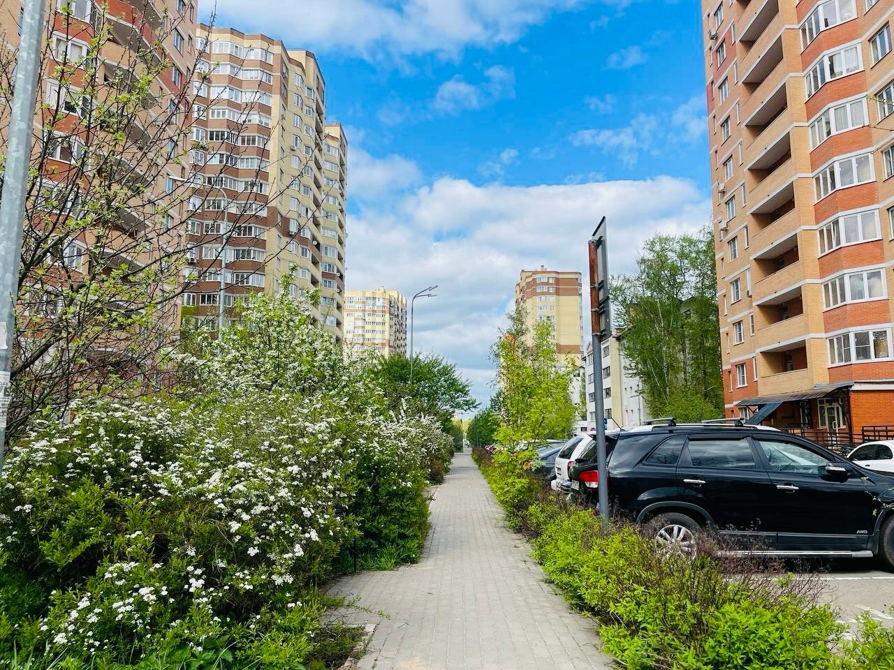 Доброе утро, Краснознаменск! Солнечного и доброго вам дня)