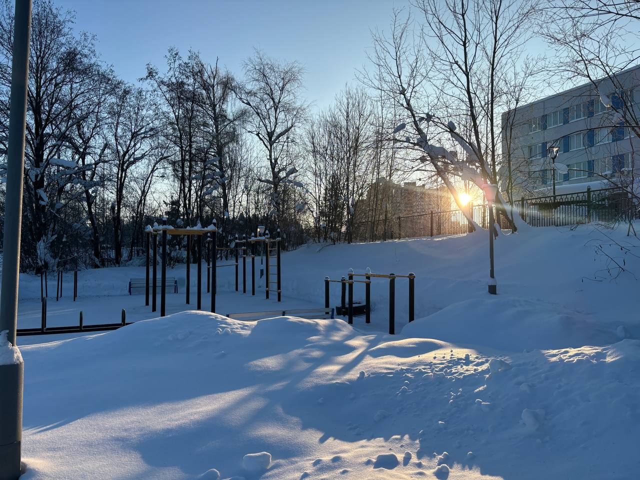 Морозное утро в Городском парке  © Парки Краснознаменска ???? t