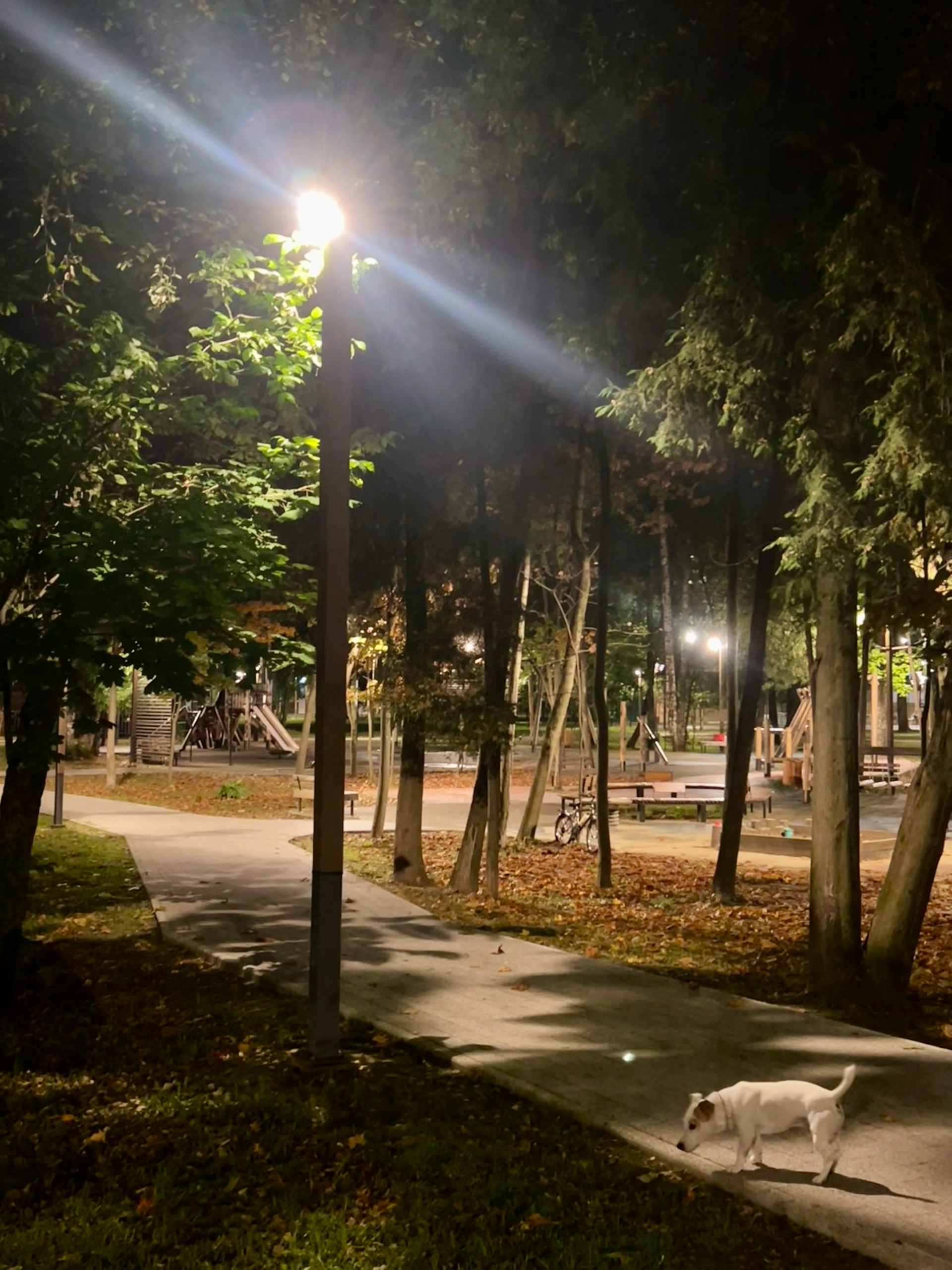 Город в свете фонарей