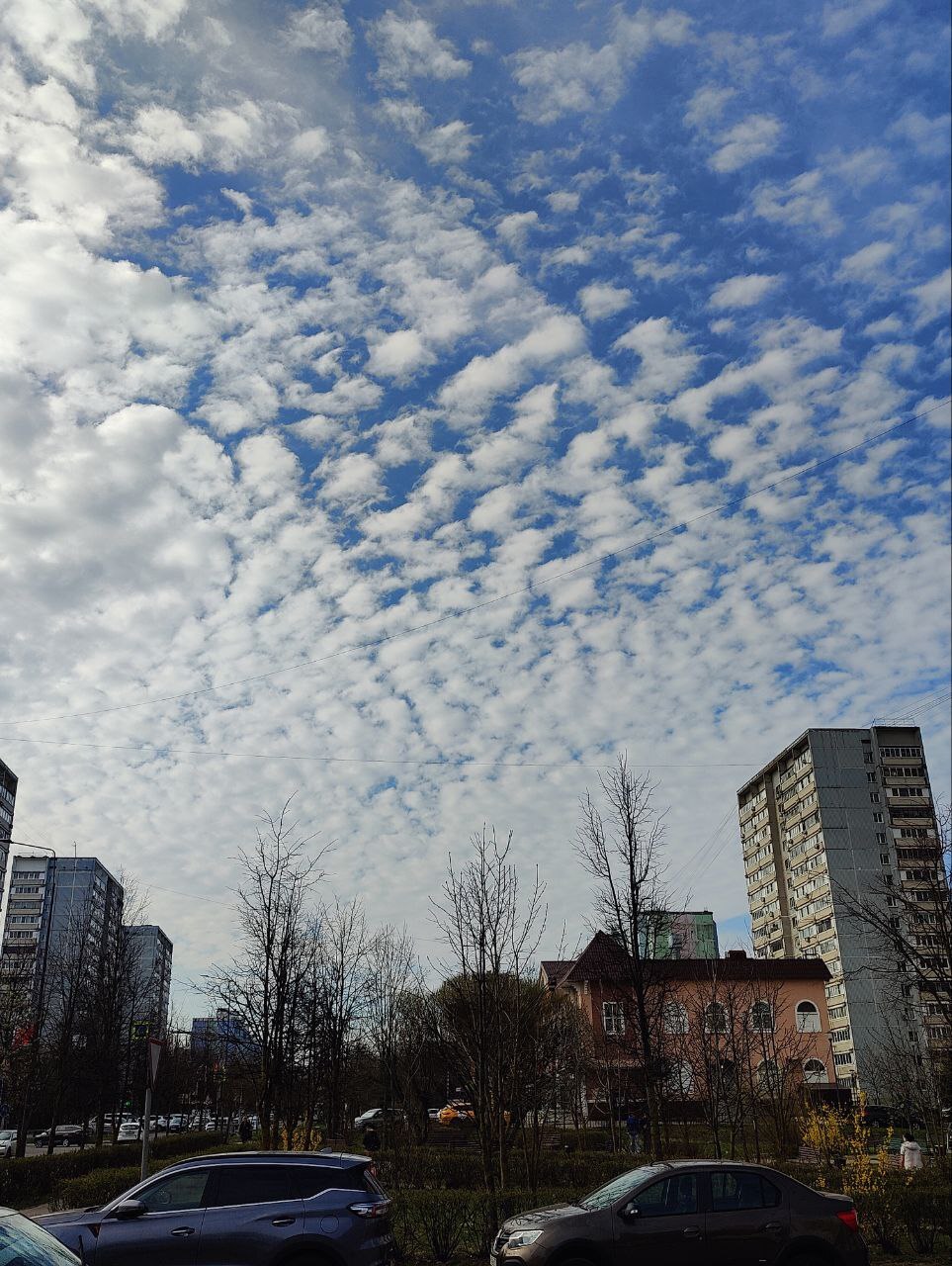 Доброе утро, Краснознаменск!   ???? Ирина