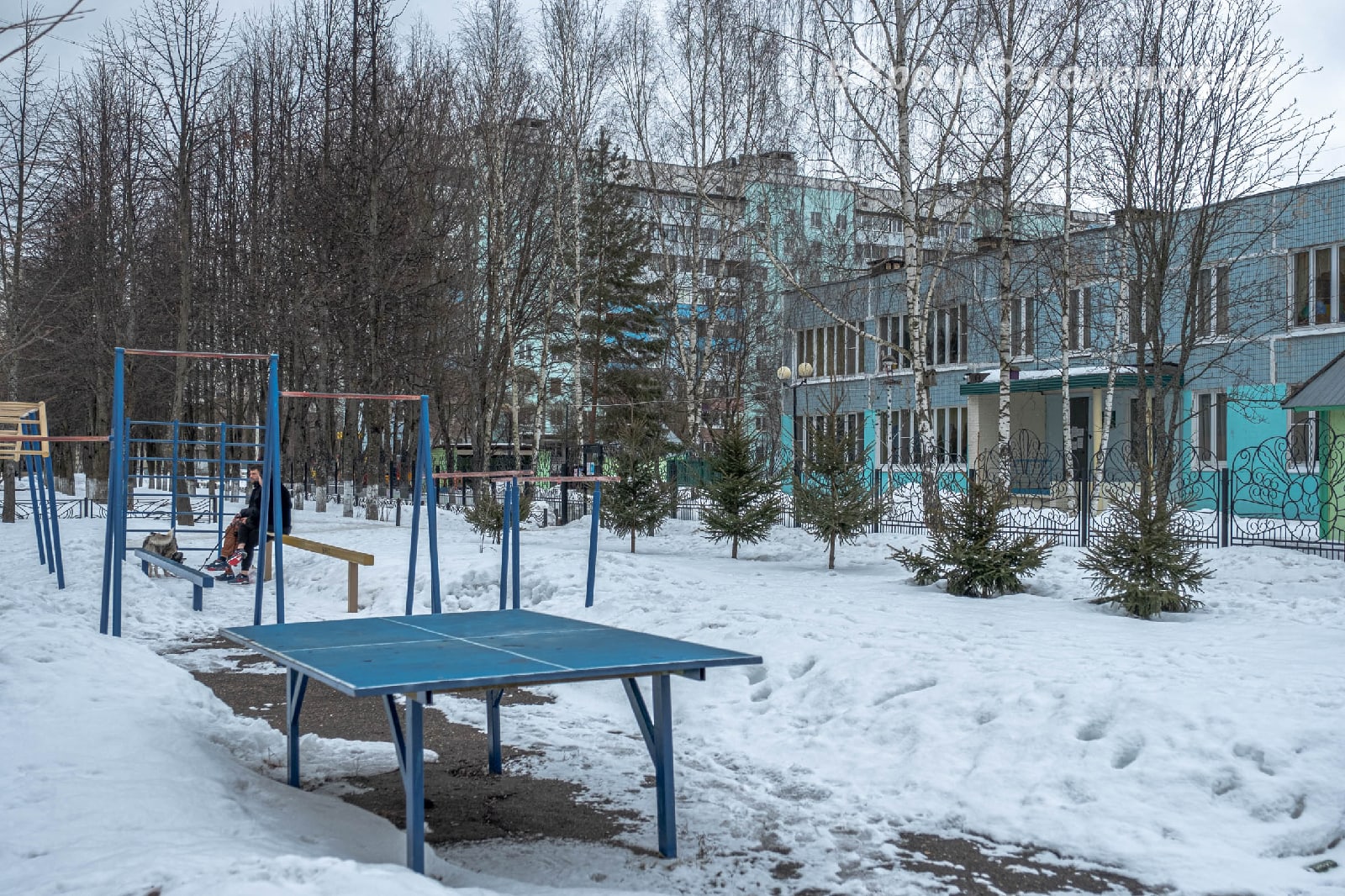 Прогулка по городу — Краснознаменск