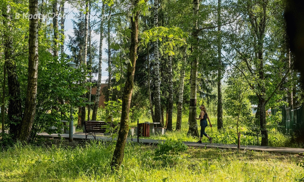 Доброе утро, Краснознаменск! Продуктивного вам дня!)
