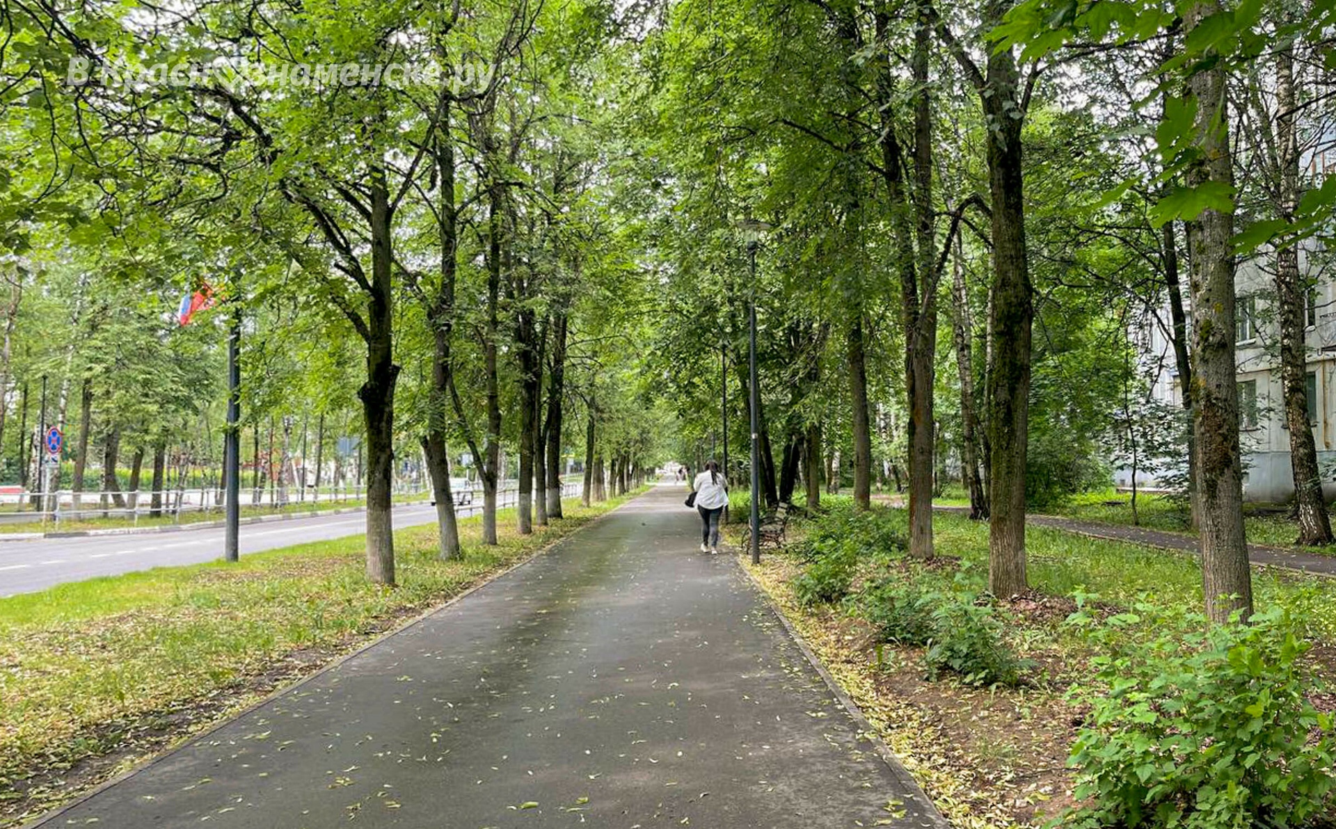 Прогулка по городу — Краснознаменск