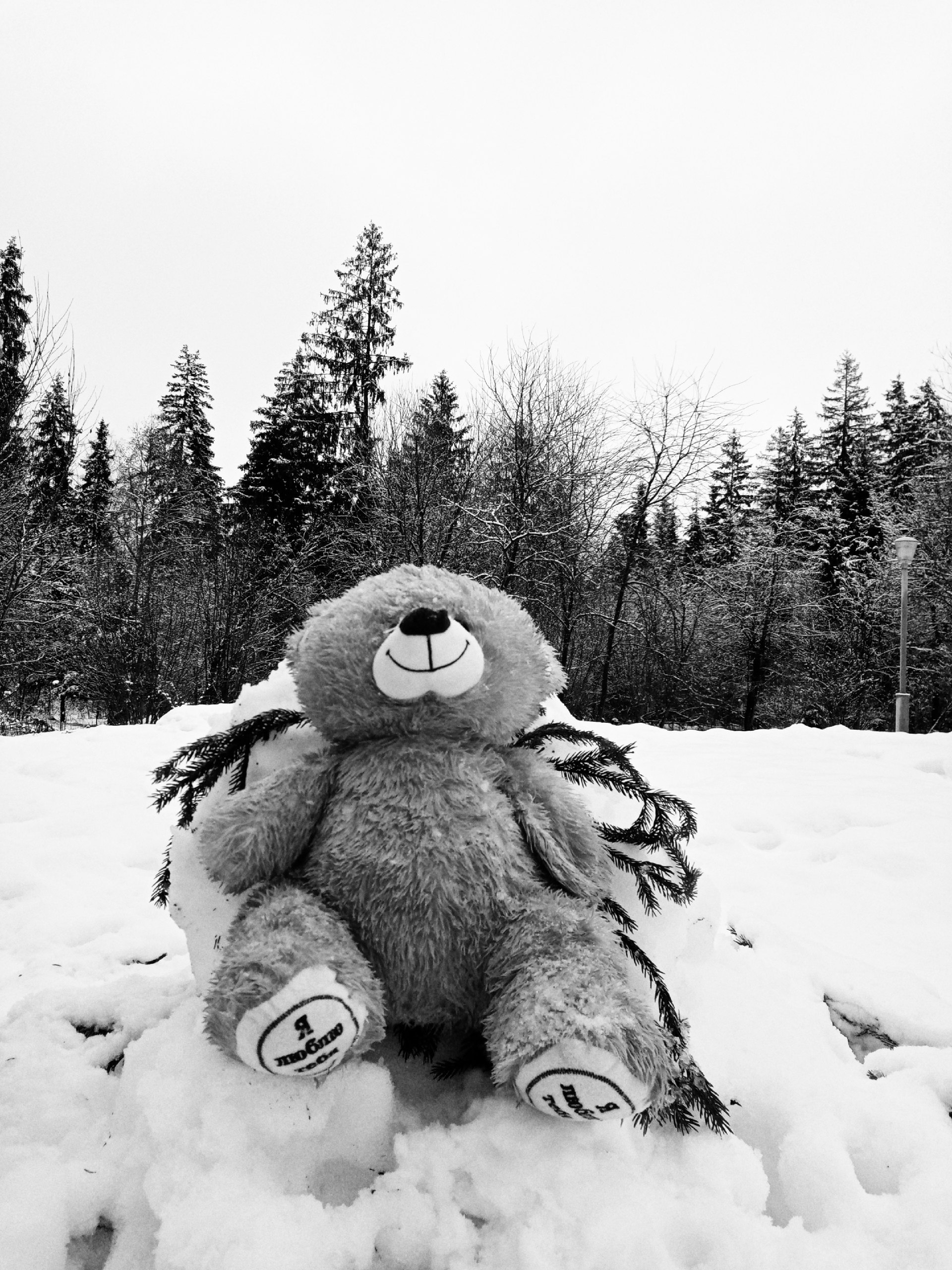 Утро. — Краснознаменск