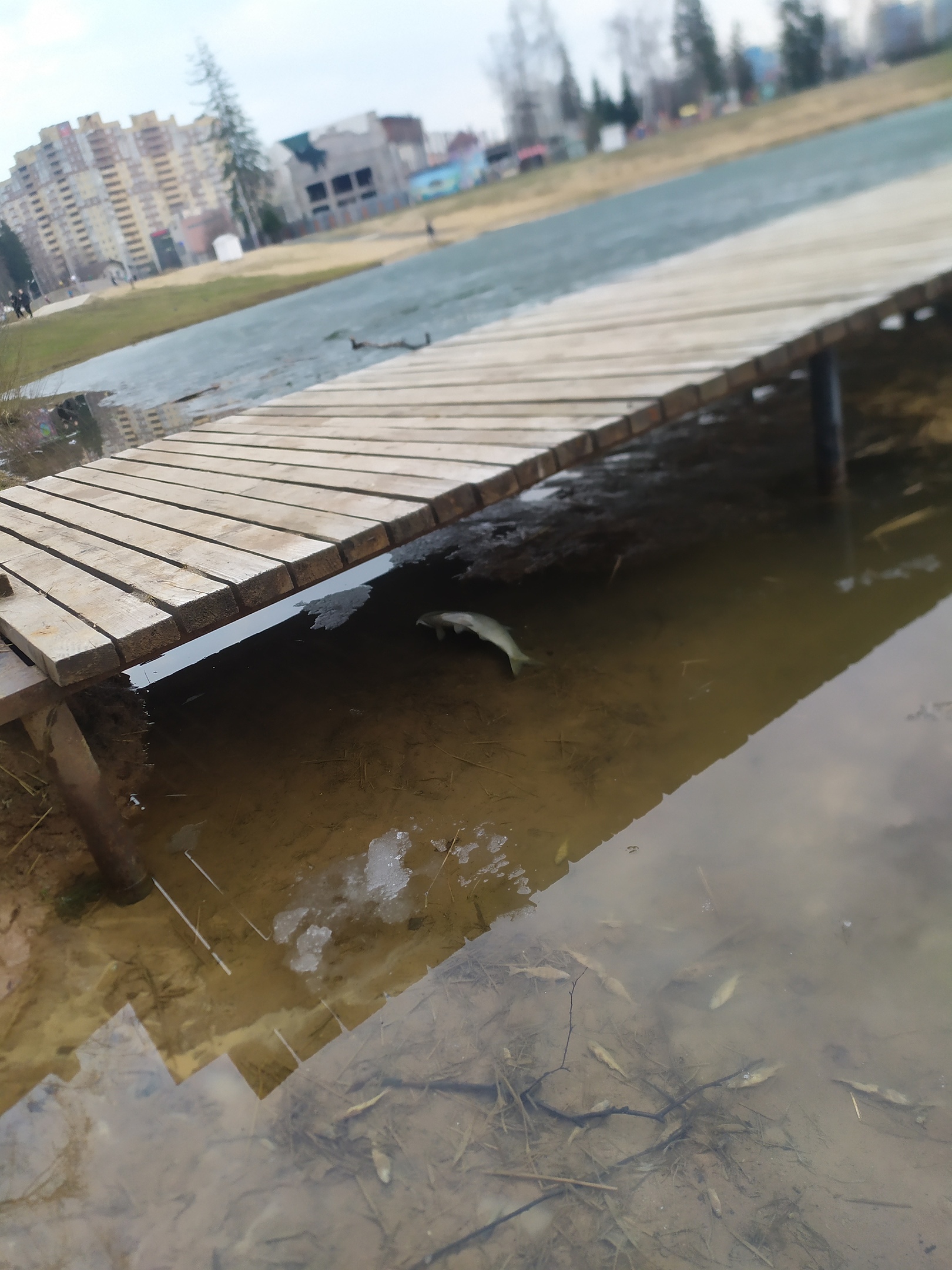 Извините но это не приемлемо видеть в пруду в котором купают