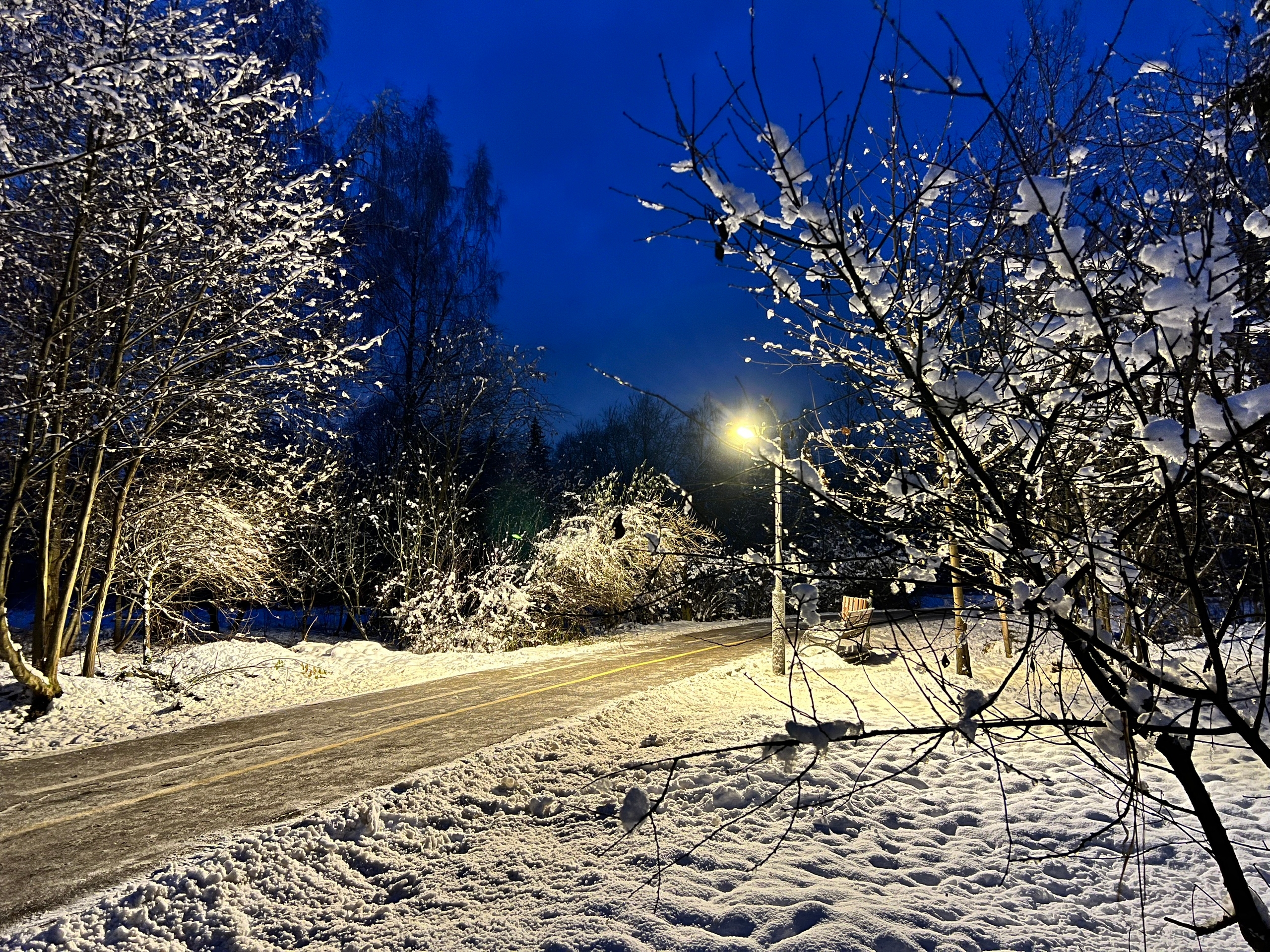 Вечер в Городском парке — Краснознаменск