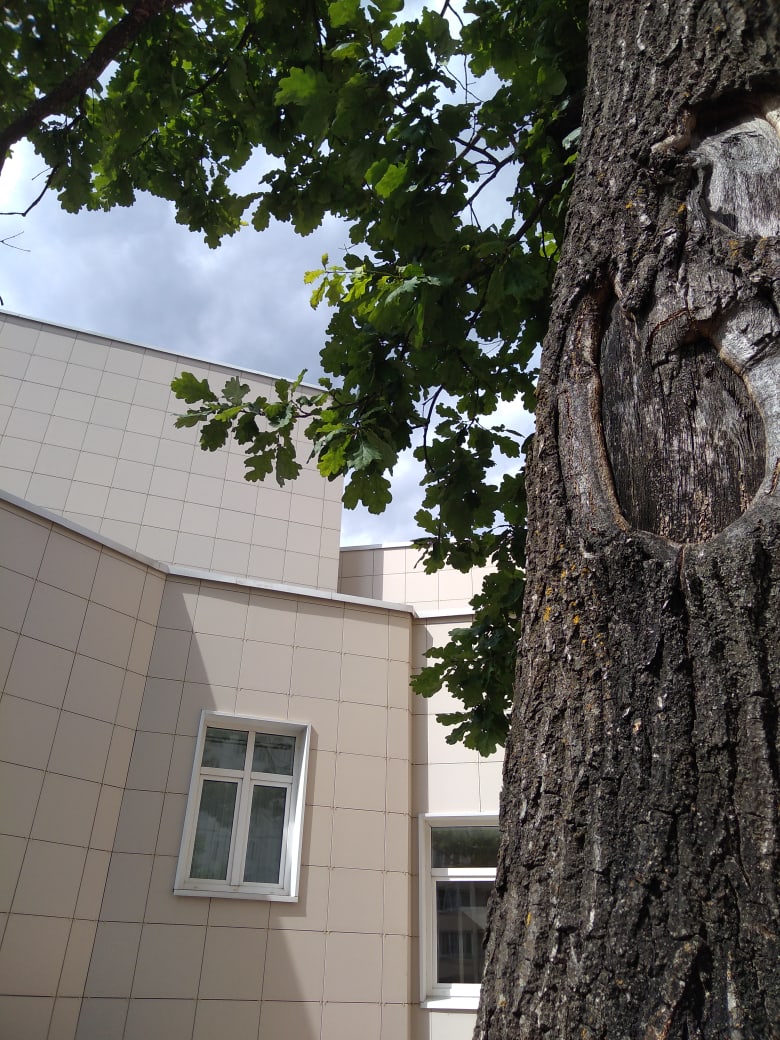 Есть школа на Земле одна, Всегда в ней музыка слышна. Смычко