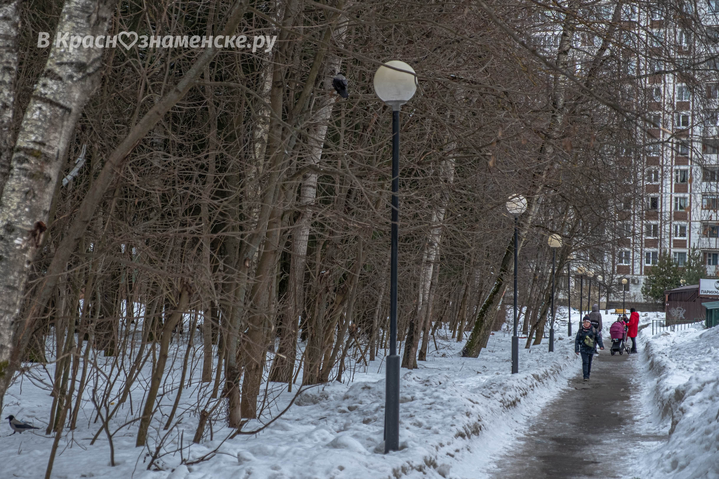 Доброе утро, Краснознаменск! Утром, -12°…-9° Малооблачно, Да
