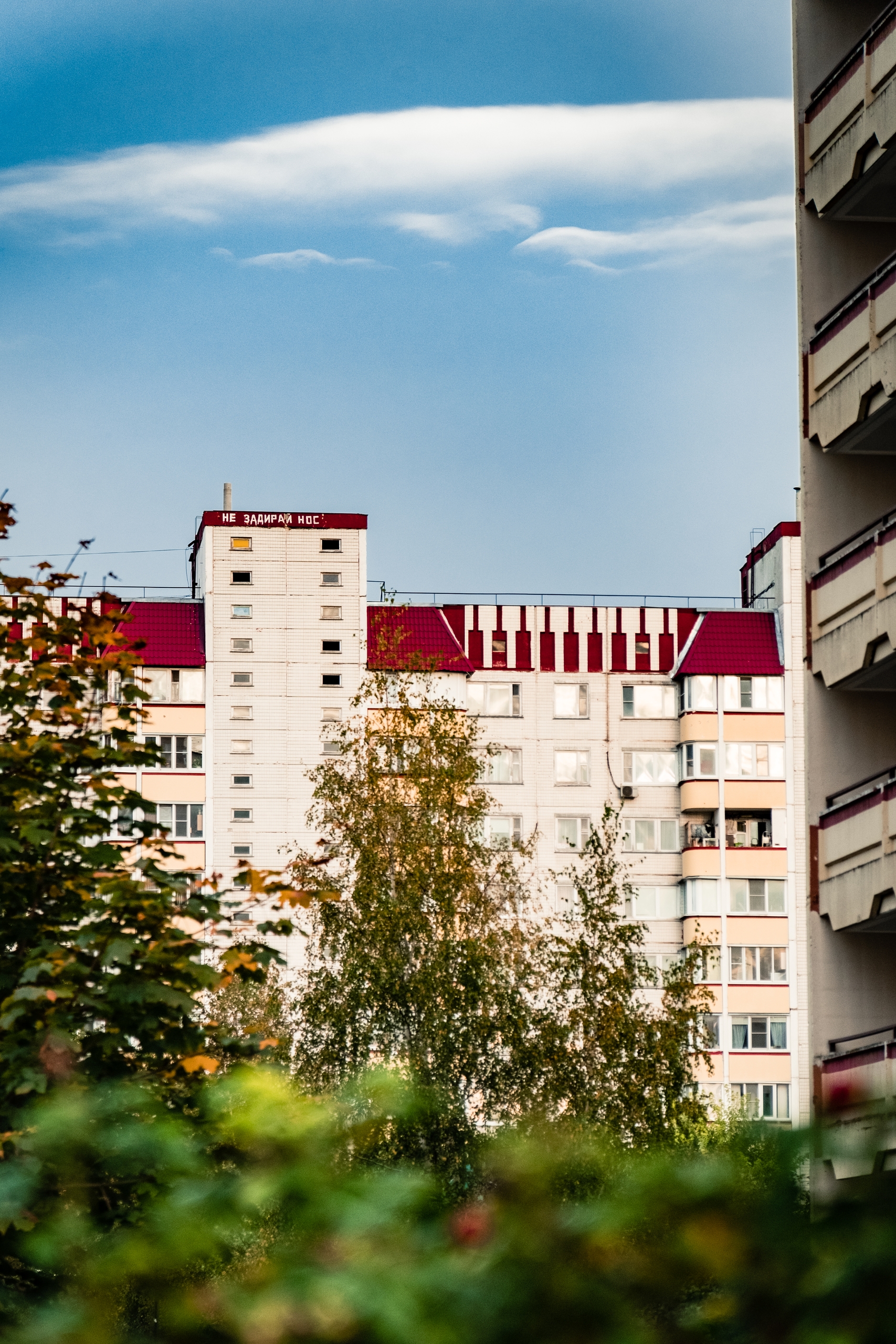 Фото 40519 — Краснознаменск