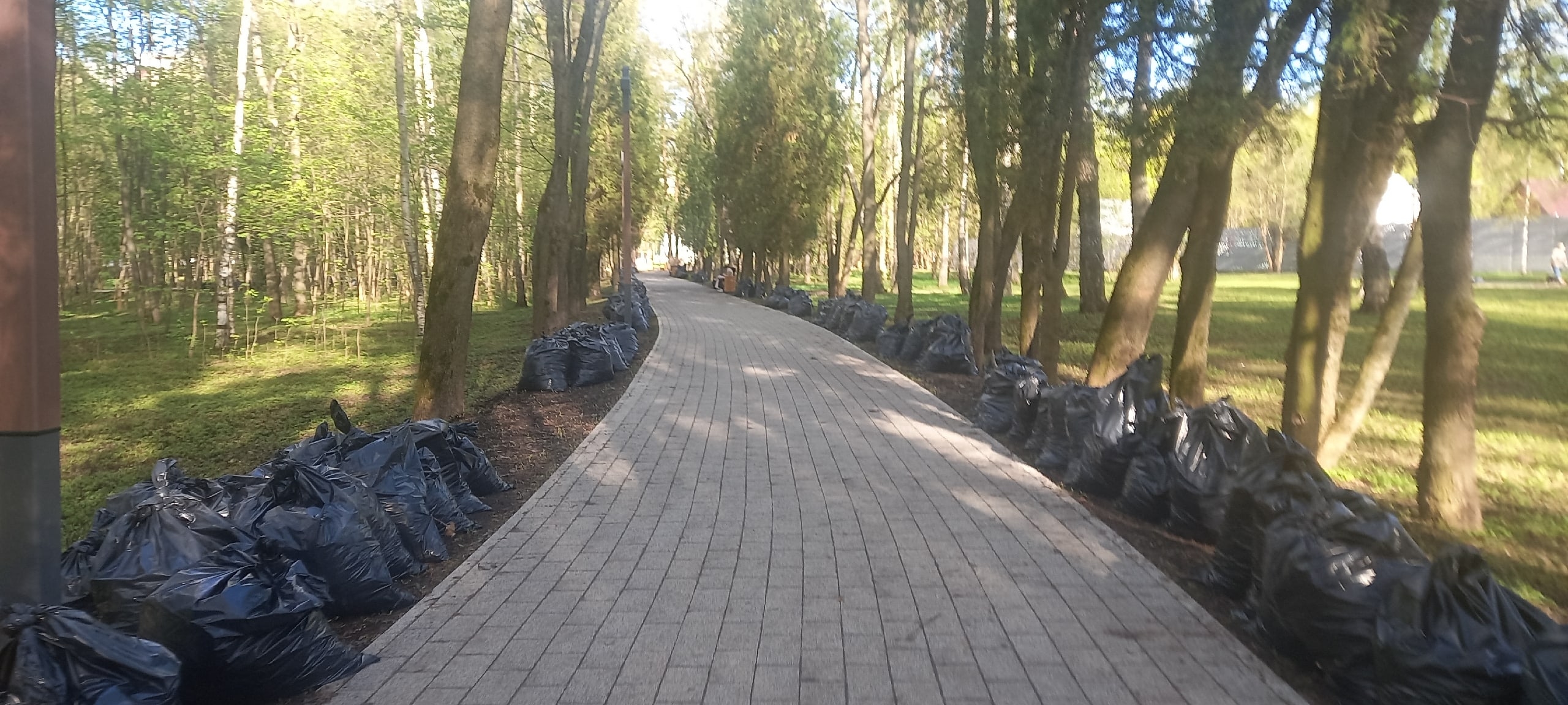 Спасибо за чистый парк — Краснознаменск