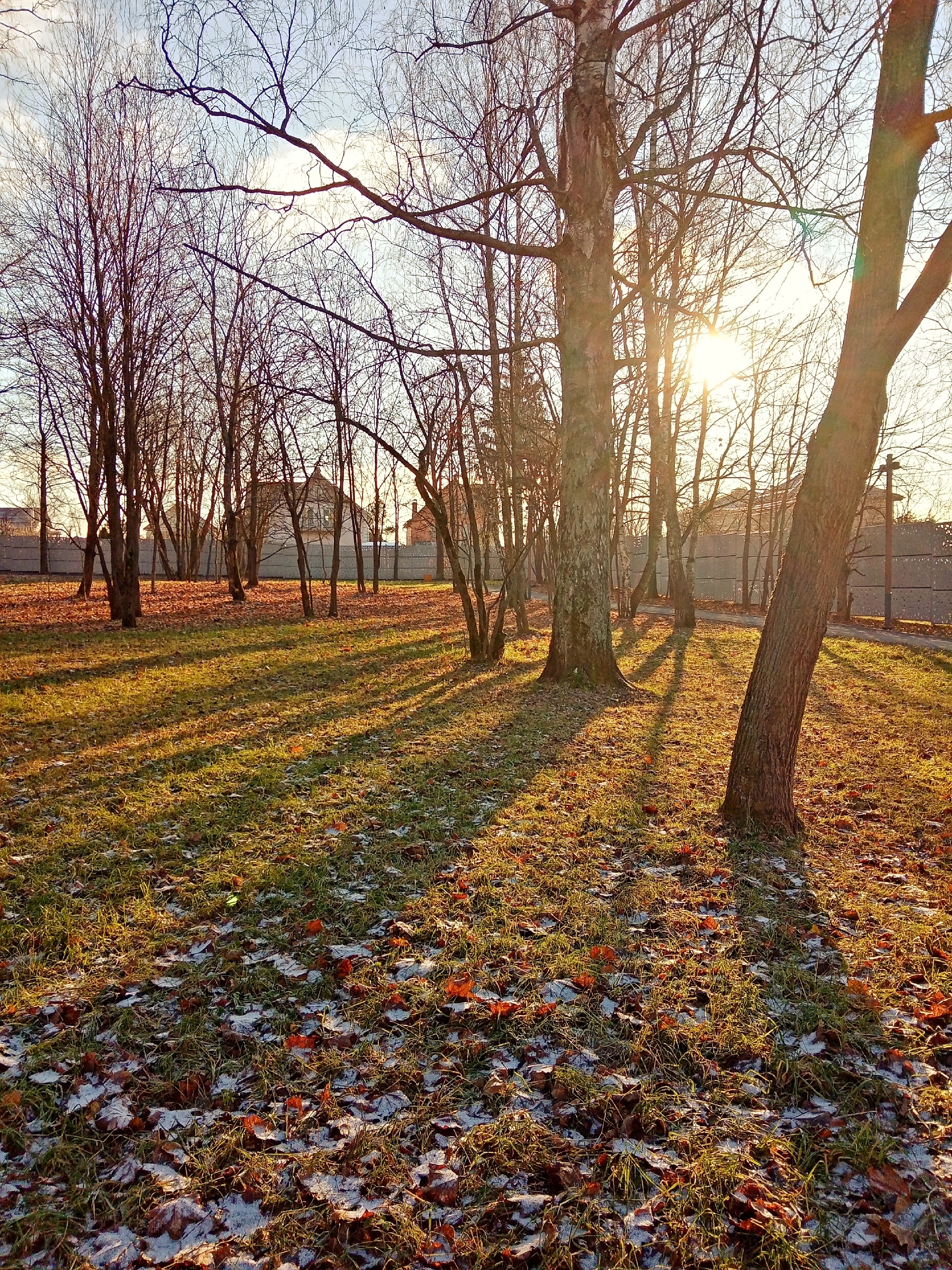 В парке.