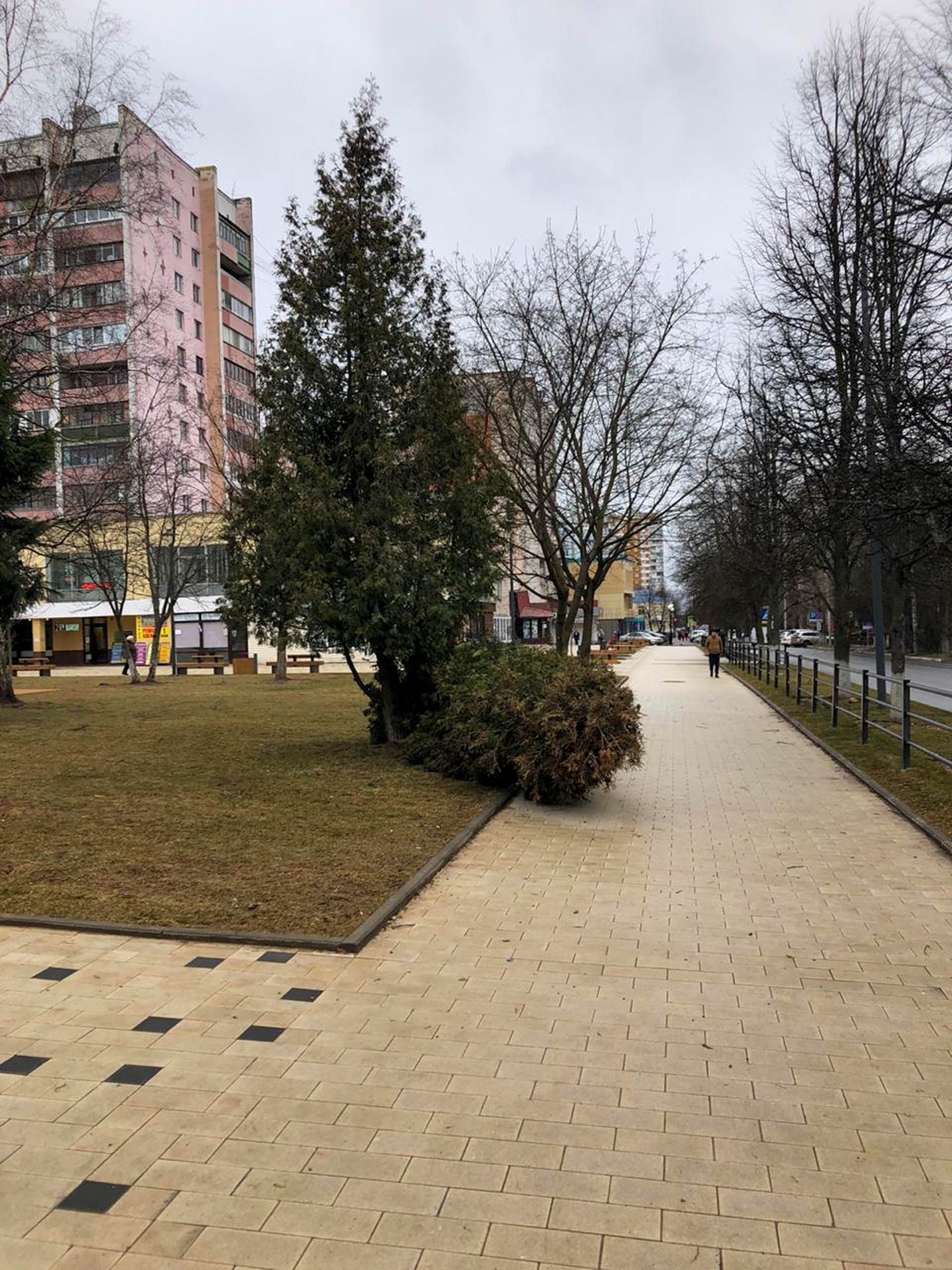 Последствия ветродуя — Краснознаменск