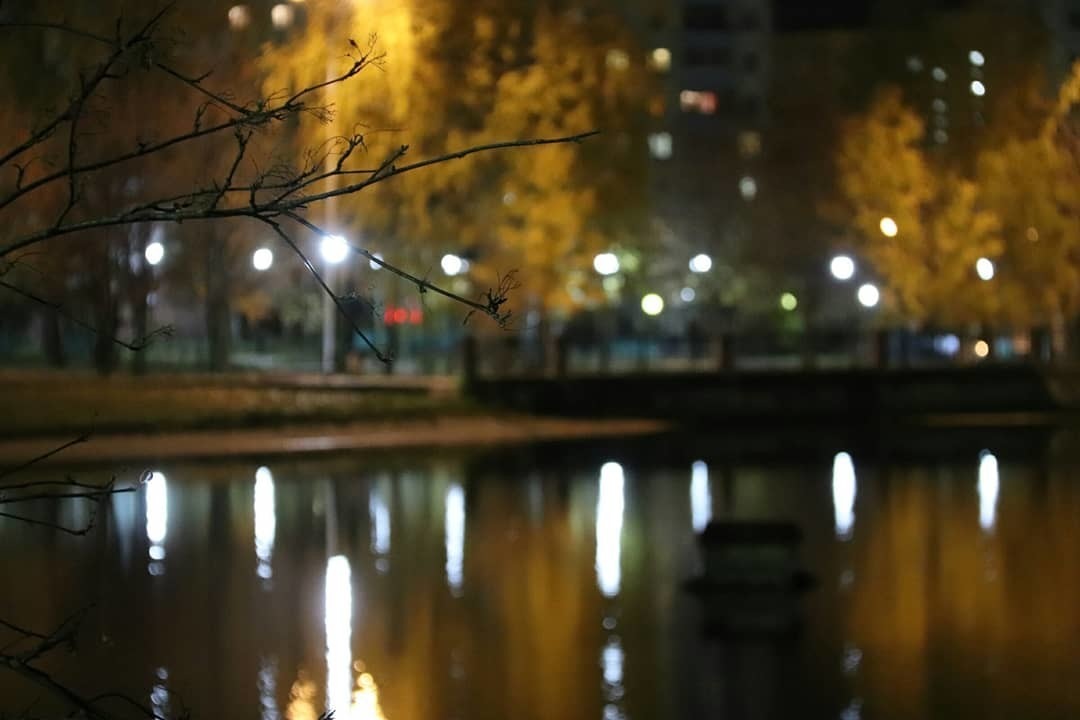 фото: Йа дикий Рысь