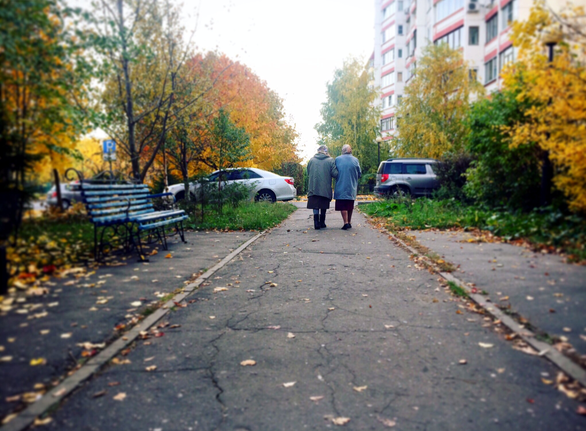 #краснознаменск Доброе фото ❤️????
