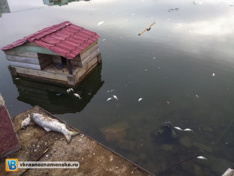 Быстрое меню — Краснознаменск