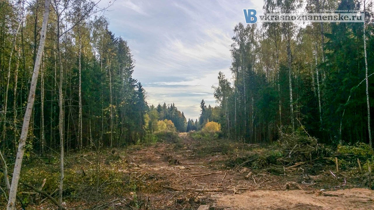 Быстрое меню — Краснознаменск